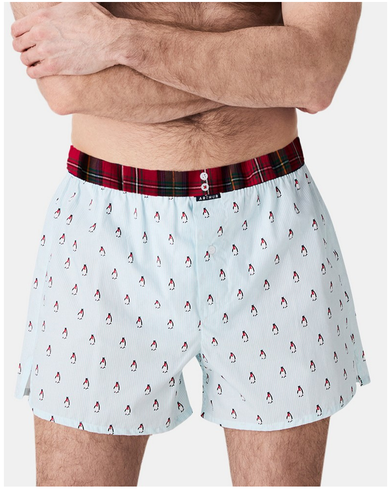 Boxer calzoncillo suspensorio 100% algodón orgánico Arthur (Lagon)