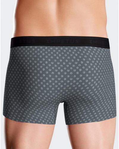 Boxer Impetus N39 (GY033)