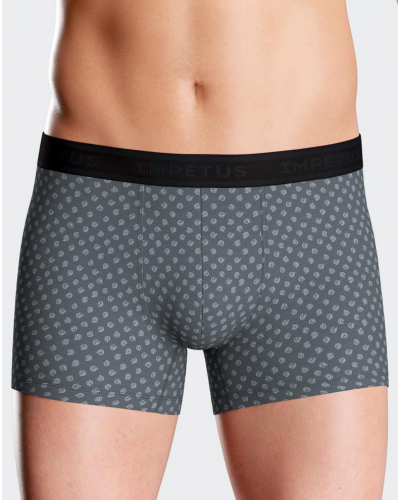 Boxer Impetus N39 (GY033)