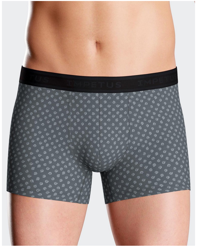 Boxer Impetus N39 (GY033)