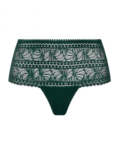 Shorty Antigel Atelier Séduction (Vert Anglais)