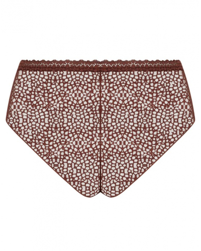 Shorty Antigel Exquise en Dentelle (Cappuccino)