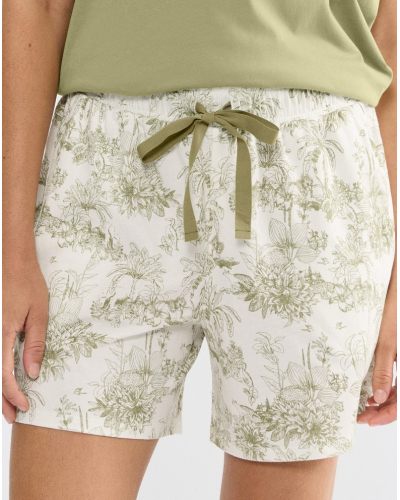 Short Triumph 100% cotton (Green-Light Comb)