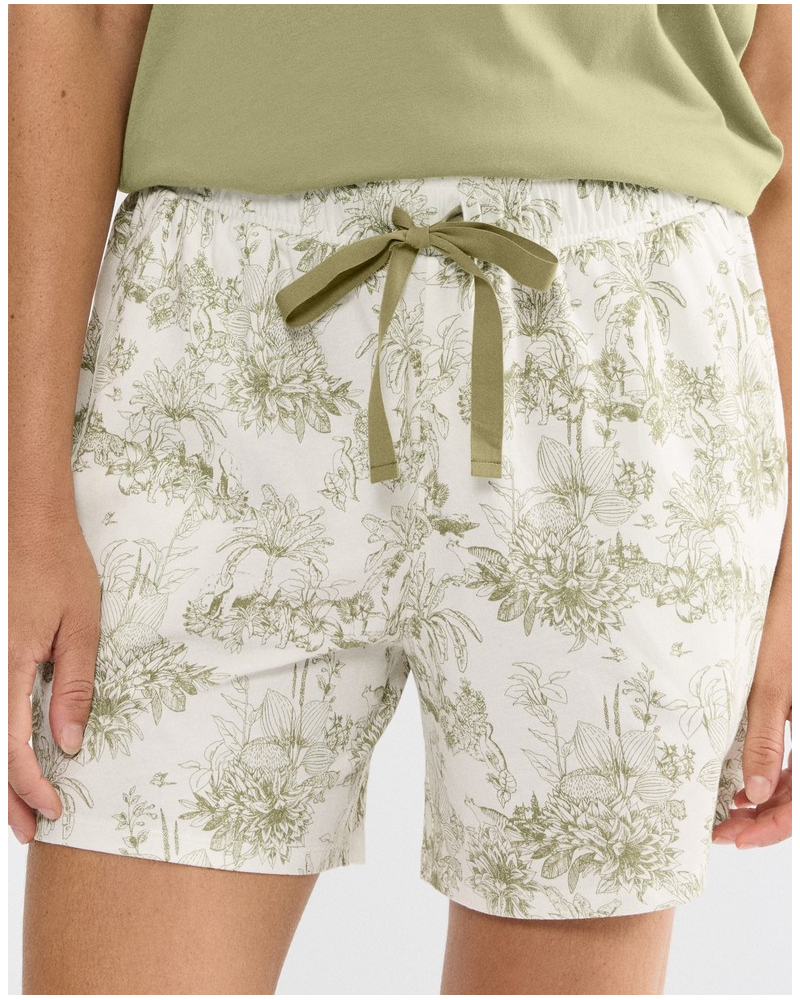 Short Triumph 100% cotton (Green-Light Comb)