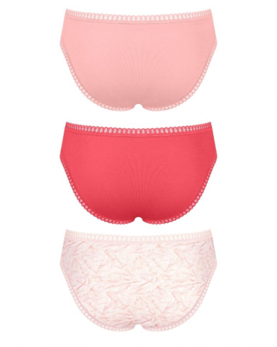 Mini calzoncillo algodón Sloggi GO Crush (Paquete de 3) (Imprimé Flamingo)