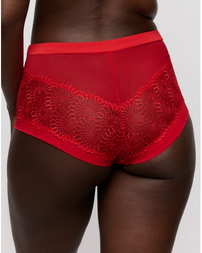 Shorty Prima Donna Sophora (True Red)