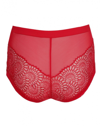 Shorty Prima Donna Sophora (True Red)