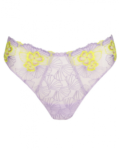 String Prima Donna Ixia (Wisteria)