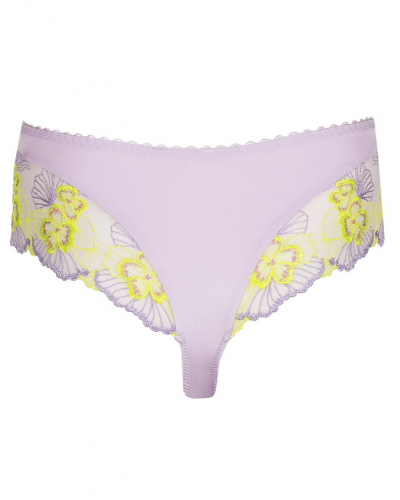 String luxueux Prima Donna Ixia (Wisteria)