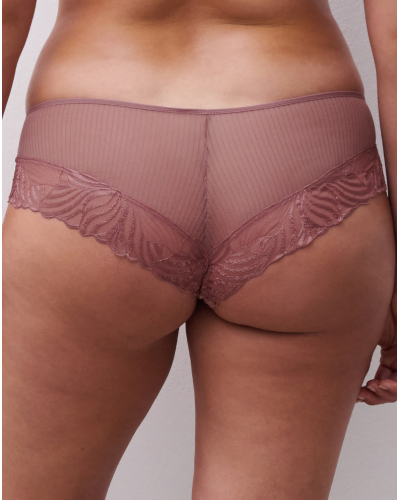 Shorty Chantelle Legend (Rose des Bois)