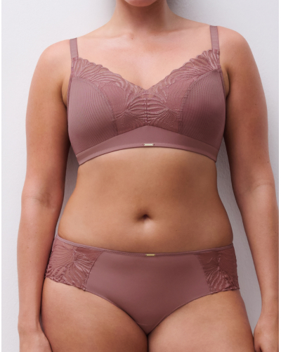 Shorty Chantelle Legend (Rose des Bois)