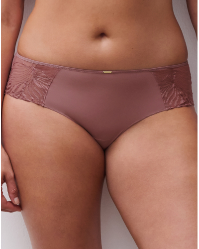 Shorty Chantelle Legend (Rose des Bois)