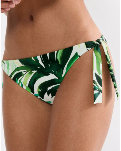 Tai bikini bottom Triumph Summer Palm (Green Comb)