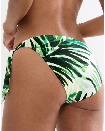 Slip de bain Tai Triumph Summer Palm (Green Comb)