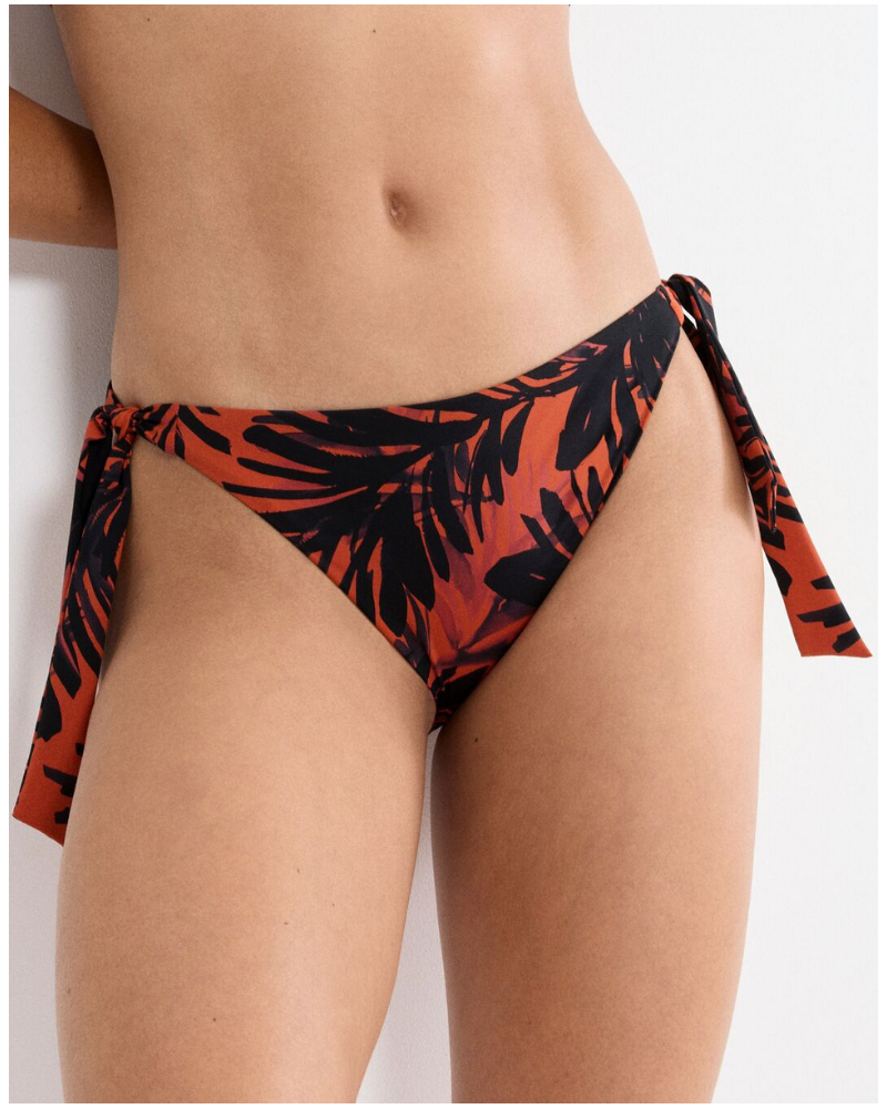 Slip de bain Tai Triumph Summer Palm (Brown-Dark Comb)