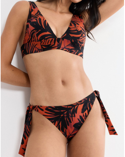 Tai bikini bottom Triumph Summer Palm (Brown-Dark Comb)