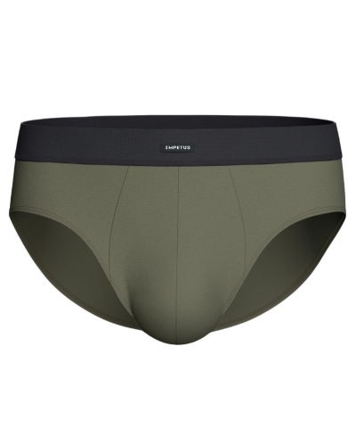 Paquete de 3 calzoncillos Algodón Impetus Apex (BL120)