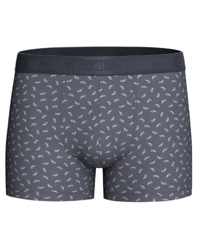 Pack of 2 boxers Lyocell Impetus Easymotion (GY033)