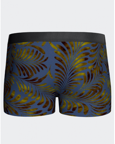 Boxer I Am Auric (GN136)