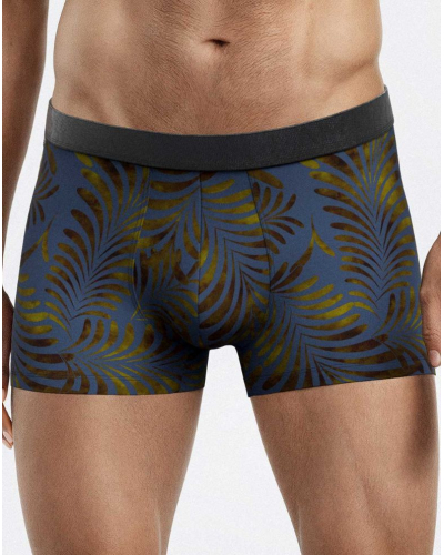 Boxer I Am Auric (GN136)