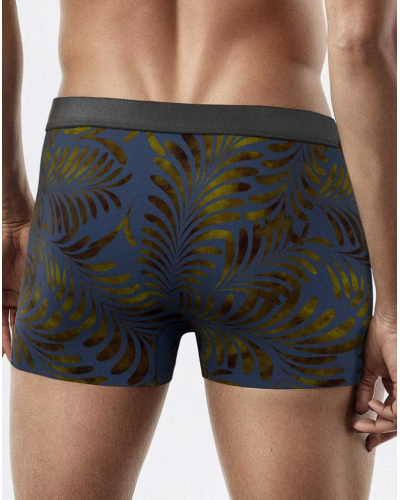 Boxer I Am Auric (GN136)