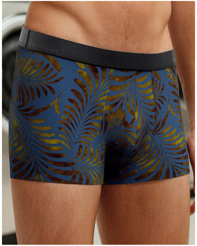 Boxer I Am Auric (GN136)