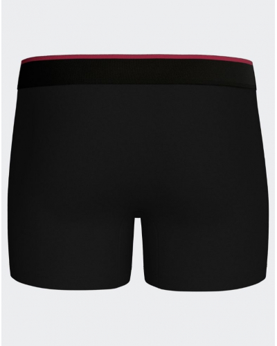 Shorty en coton Eden Park H77 (BK021)