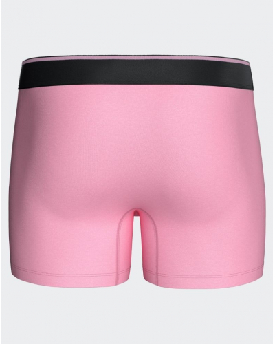 Shorty en coton Eden Park H77 (PKD85)