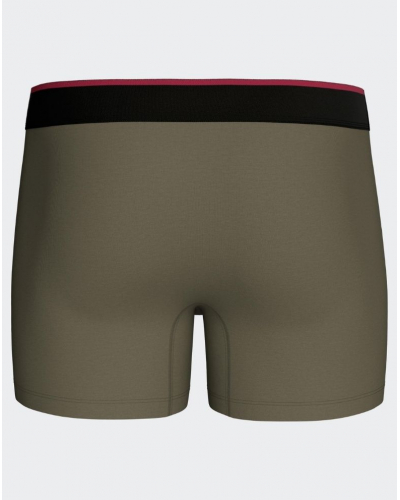 Cotton shorty Eden Park H77 (GN142)