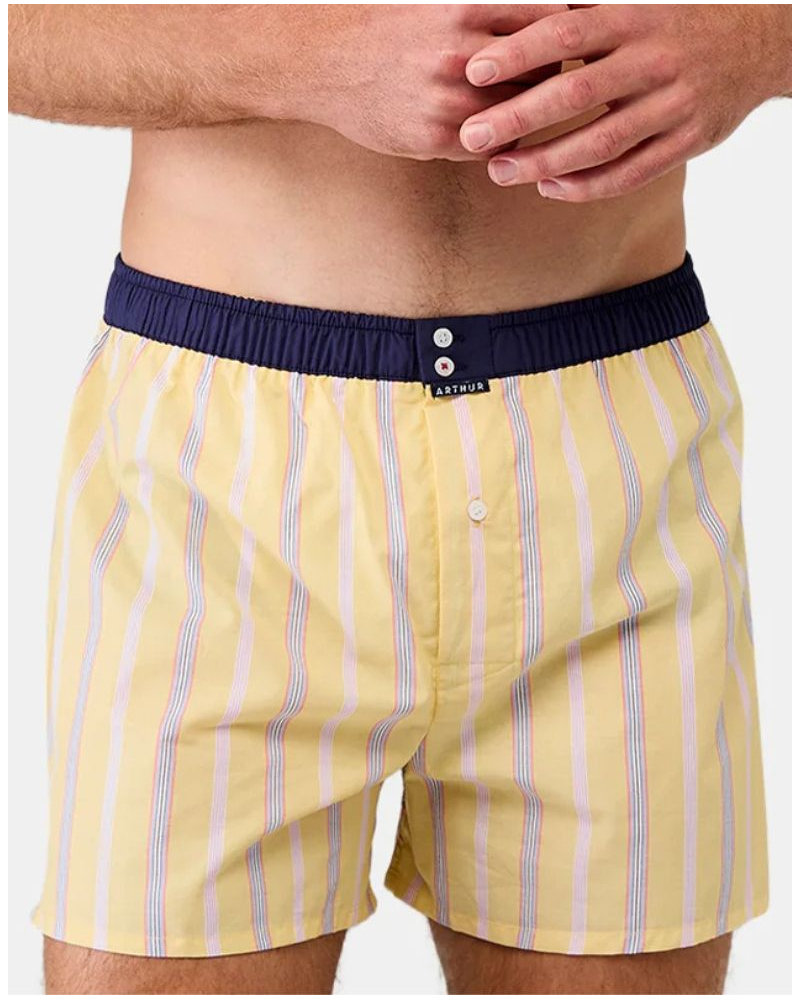 Caleçon slip à suspensoir 100% coton bio Arthur (Multicolore)