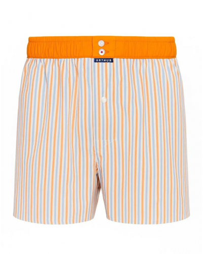 Boxer brief to jockstrap 100% organic cotton Arthur (Multicolore)