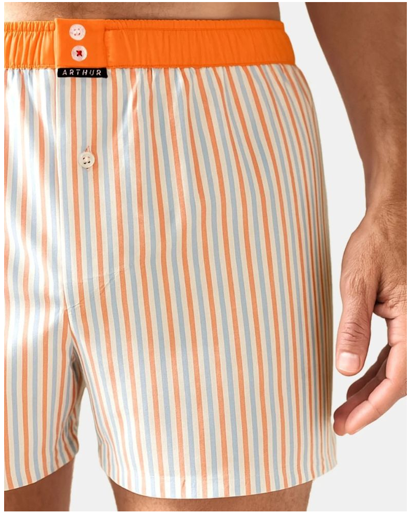 Caleçon slip à suspensoir 100% coton bio Arthur (Multicolore)