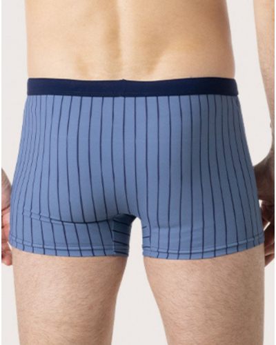 Swim Boxer Made in France Eminence (Blue with Navy Stripes)