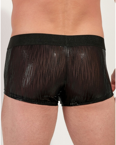 Trunk HOM Strip (Black)