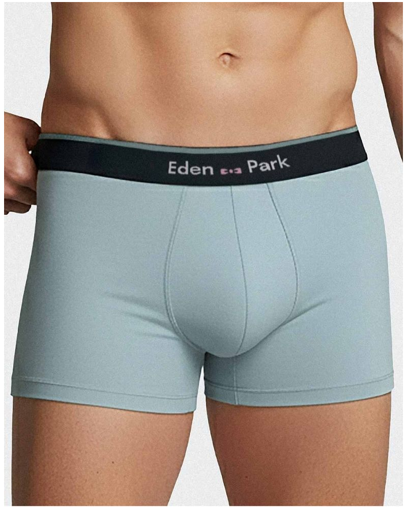 Shorty de algodón Eden Park H77 (BL136)