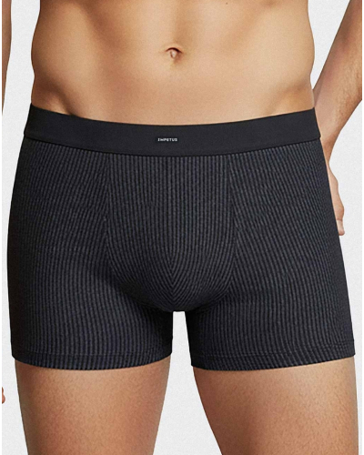 Lot de 2 boxers Modal et Coton Impetus Strypt (NB039)