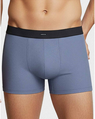Pack of 2 boxers Modal and Cotton Impetus Strypt (BL120)