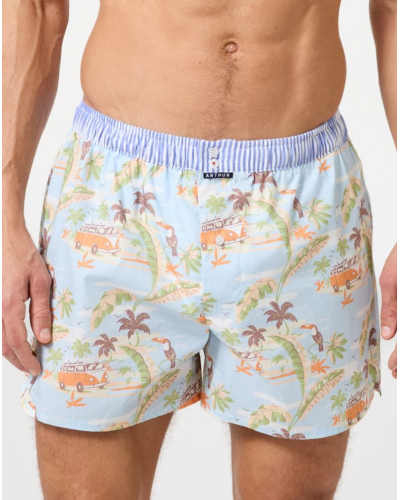 Caleçon à suspensoir 100% coton Arthur 1226 (Multicolore)