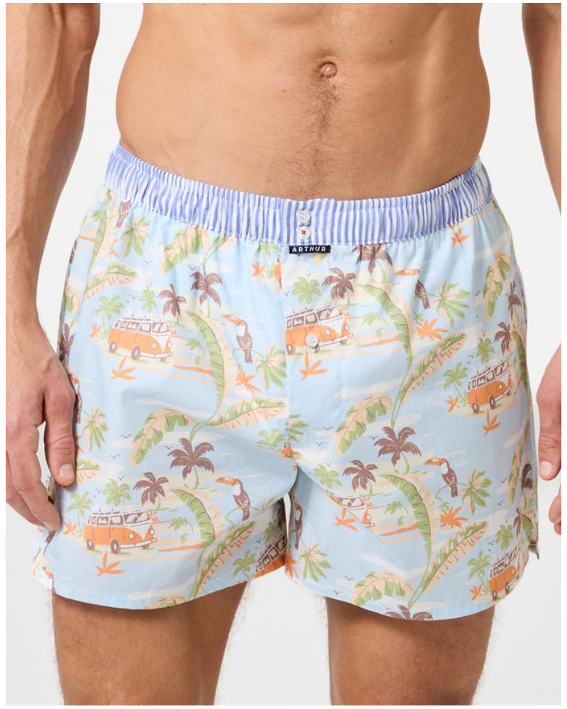 Caleçon à suspensoir 100% coton Arthur 1226 (Multicolore)