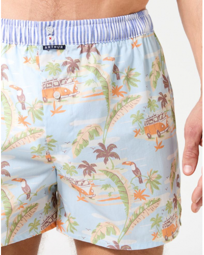 Caleçon à suspensoir 100% coton Arthur 1226 (Multicolore)