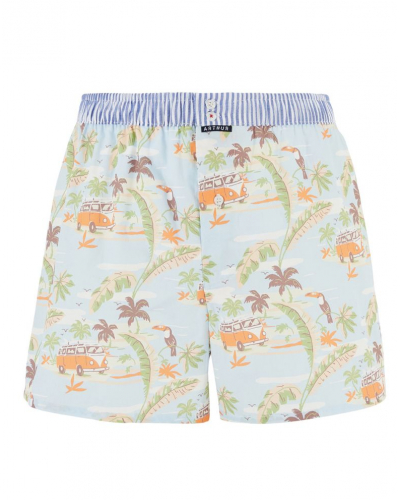 Caleçon à suspensoir 100% coton Arthur 1226 (Multicolore)