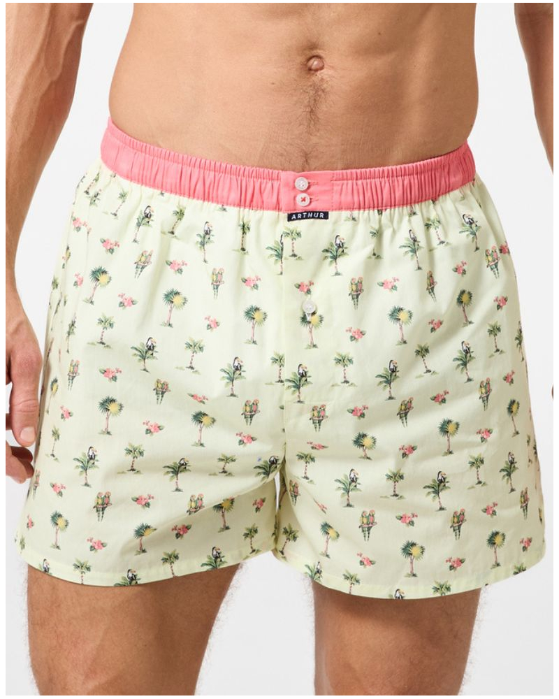 Caleçon à suspensoir 100% coton Arthur 1225 (Multicolore)