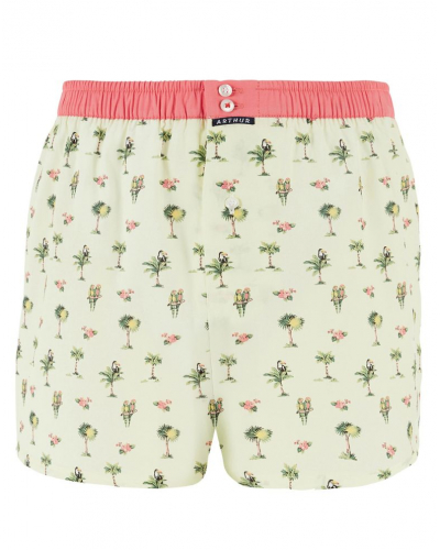 Caleçon à suspensoir 100% coton Arthur 1225 (Multicolore)