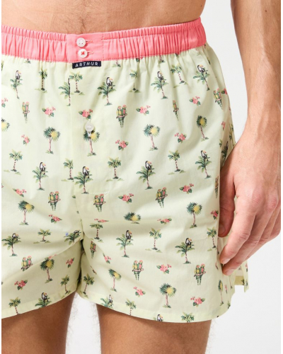 Caleçon à suspensoir 100% coton Arthur 1225 (Multicolore)