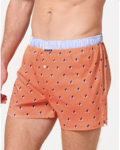 Caleçon à suspensoir 100% coton Arthur 1220 (Multicolore)