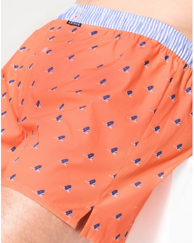 Jockstrap 100% cotton Arthur 1220 (Multicolore)