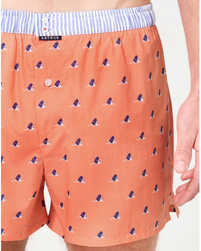 Caleçon à suspensoir 100% coton Arthur 1220 (Multicolore)