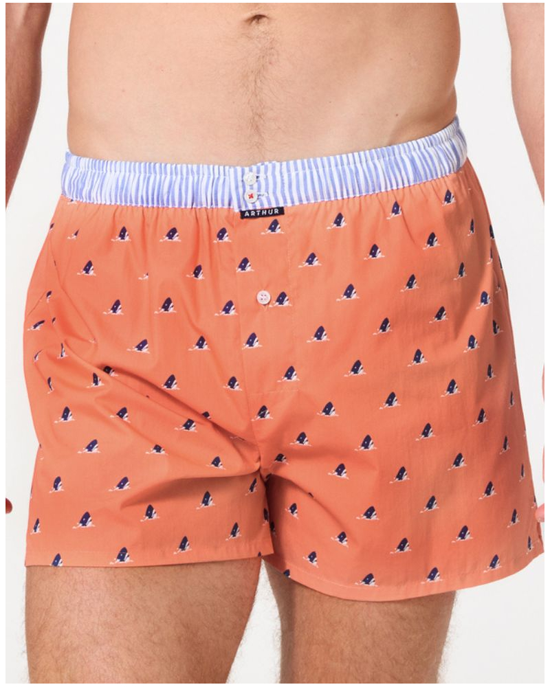 Caleçon à suspensoir 100% coton Arthur 1220 (Multicolore)