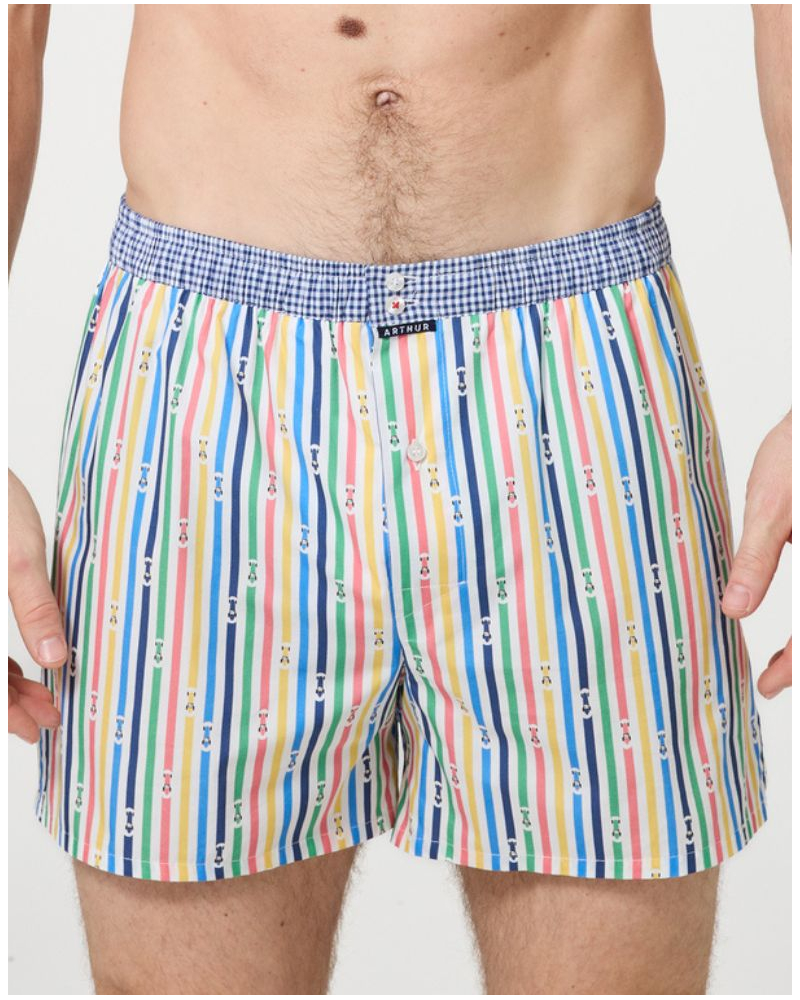 Jockstrap 100% cotton Arthur 1203 (Multicolore)