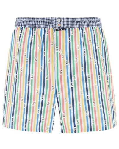 Caleçon à suspensoir 100% Coton Arthur 1203 (Multicolore)